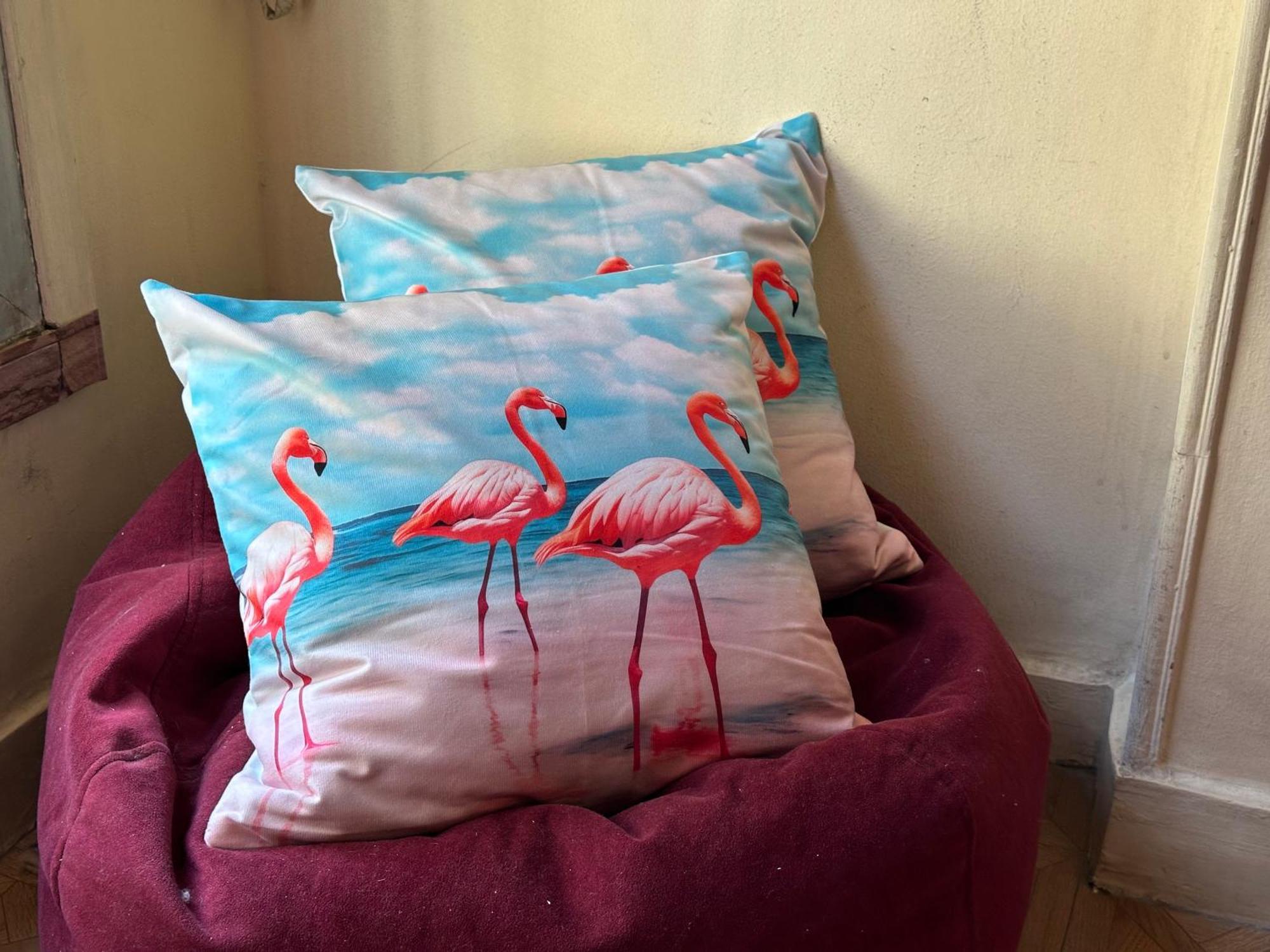 Flamingo 5 Stars Cozy Room - With Ac Kairó Kültér fotó